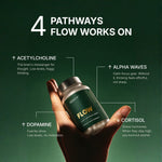 FLOW™ — Daily Brain Food - onflowLab