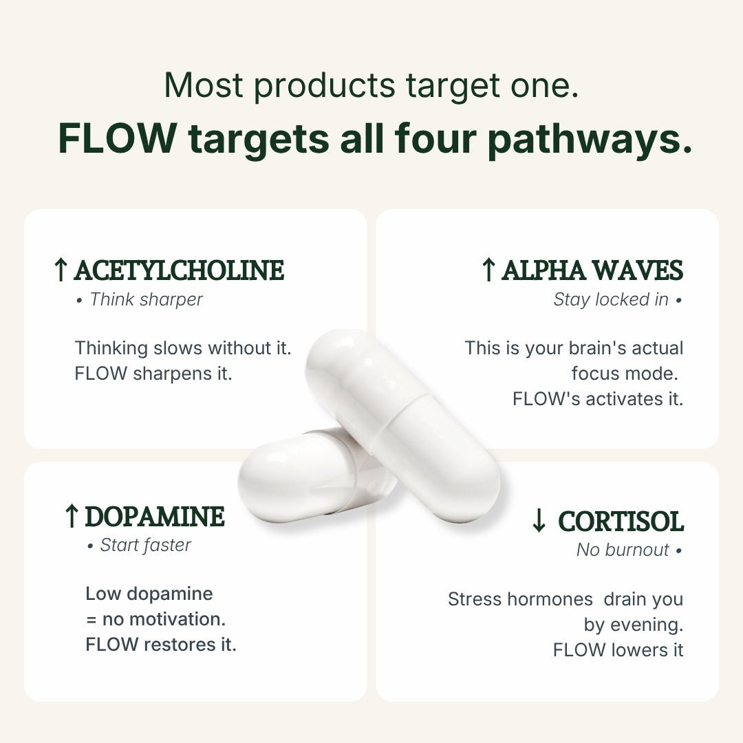 FLOW™ — Daily Brain Food - onflowLab